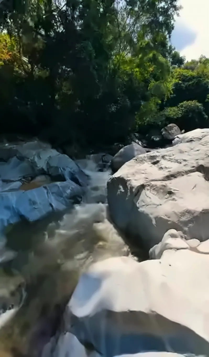 El río corre entre grandes rocas claras, con árboles espesos en la orilla, en una toma baja de un video con dron.